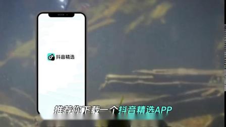 抖音和抖音精选有何区别？